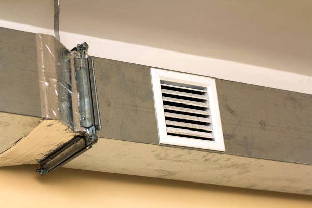 Air Duct Mold Removal in Royalton, MN